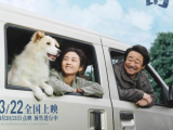 《我会好好的》一只流浪狗的闯入让她逐渐放下家庭伤痛，形影不离的朝夕相处温暖了同样孤独的两个灵魂2025.3.22中国大陆
